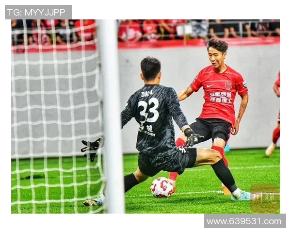 成都篮球队在欧锦赛积分榜上以95分稳居第一名展现强大实力